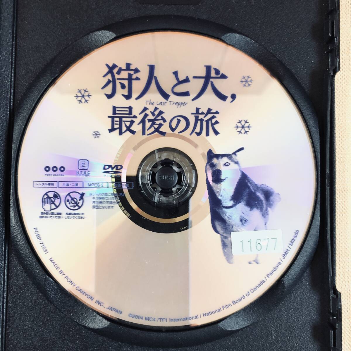 狩人と犬、最後の旅 DVDレンタル落ち_画像4