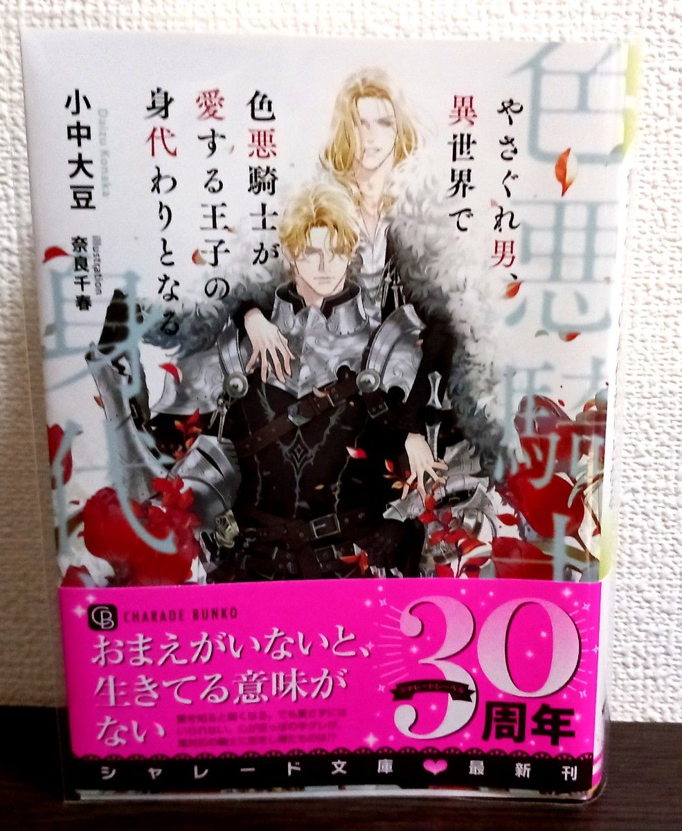 やさぐれ男、異世界で色悪騎士が愛する王子の身代わりとなる 小中大豆 奈良千春