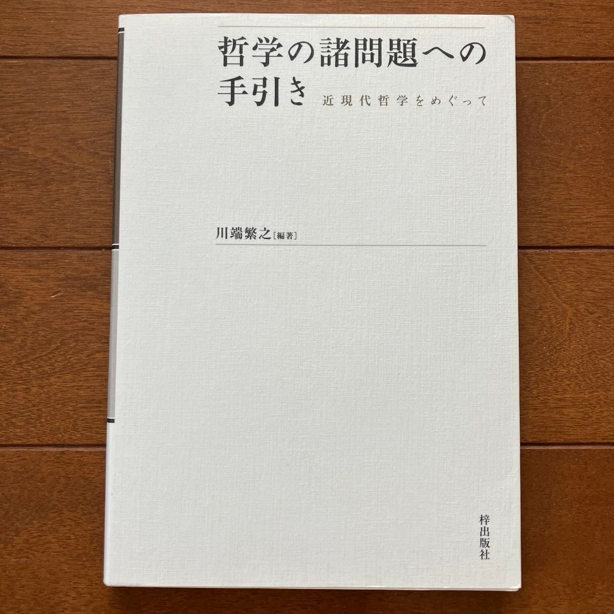 哲学の諸問題への手引き : 近現代哲学をめぐって　美品