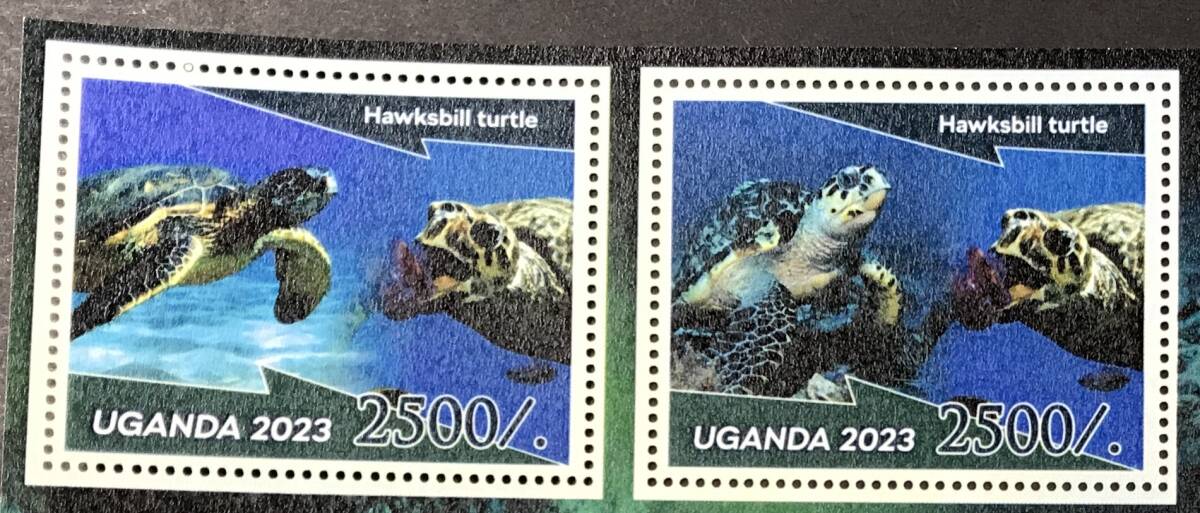 ウガンダ 2023年発行 カメ 切手 (1) 未使用 NHの画像2