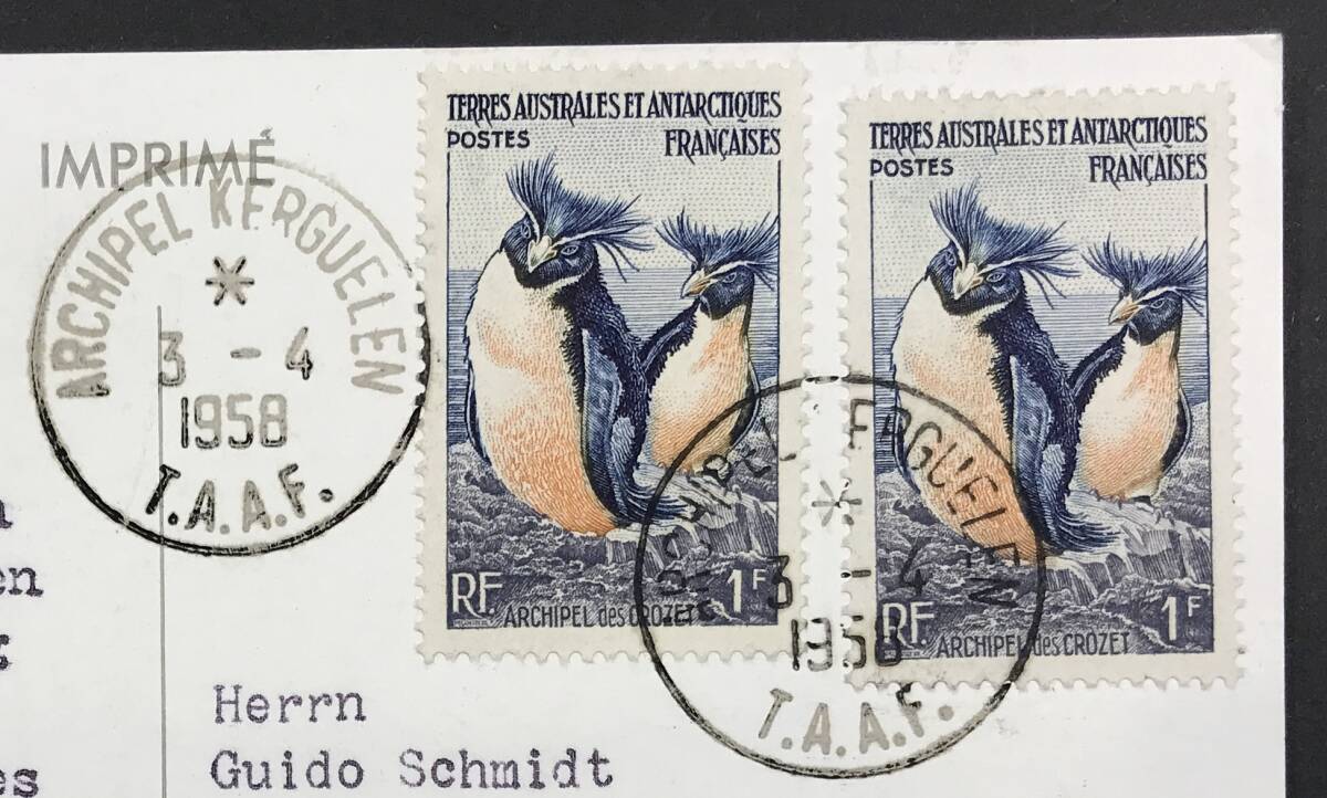  France . south ultimate region 1956 year issue penguin toli seal animal stamp Germany .. picture postcard (. seal 1958 year )