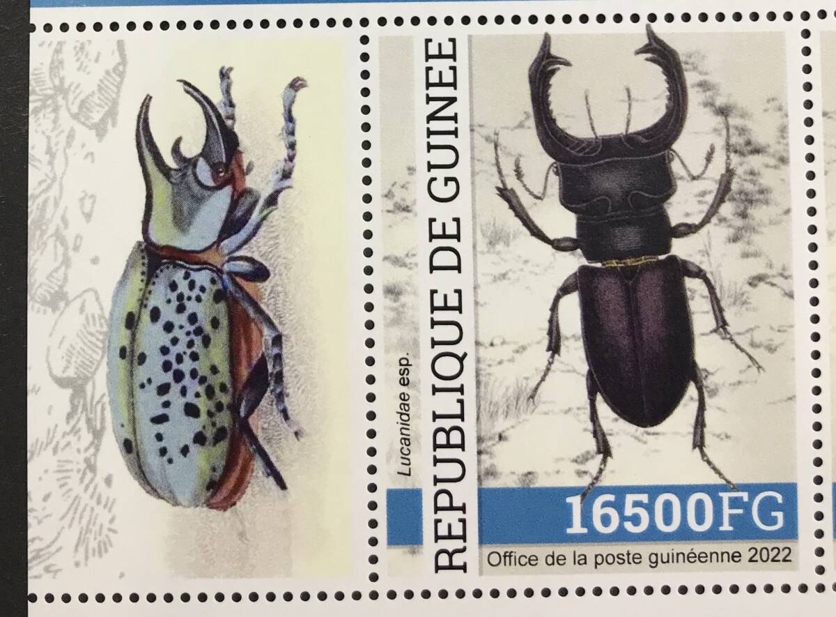 ギニア 2022年発行 昆虫 切手 未使用 NHの画像4