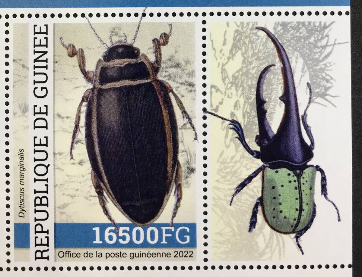 ギニア 2022年発行 昆虫 切手 未使用 NHの画像5