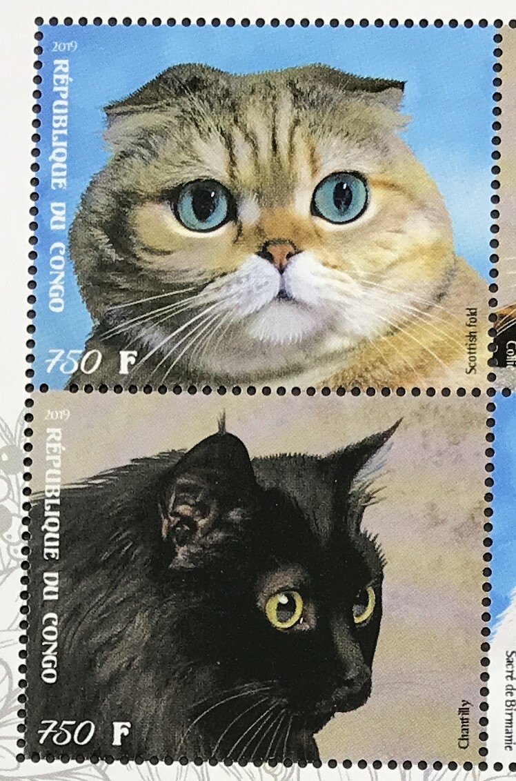  navy blue go2019 year issue cat stamp unused NH