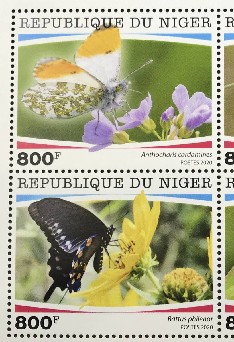ニジェール 2020年発行 蝶 切手 未使用 NH_画像2