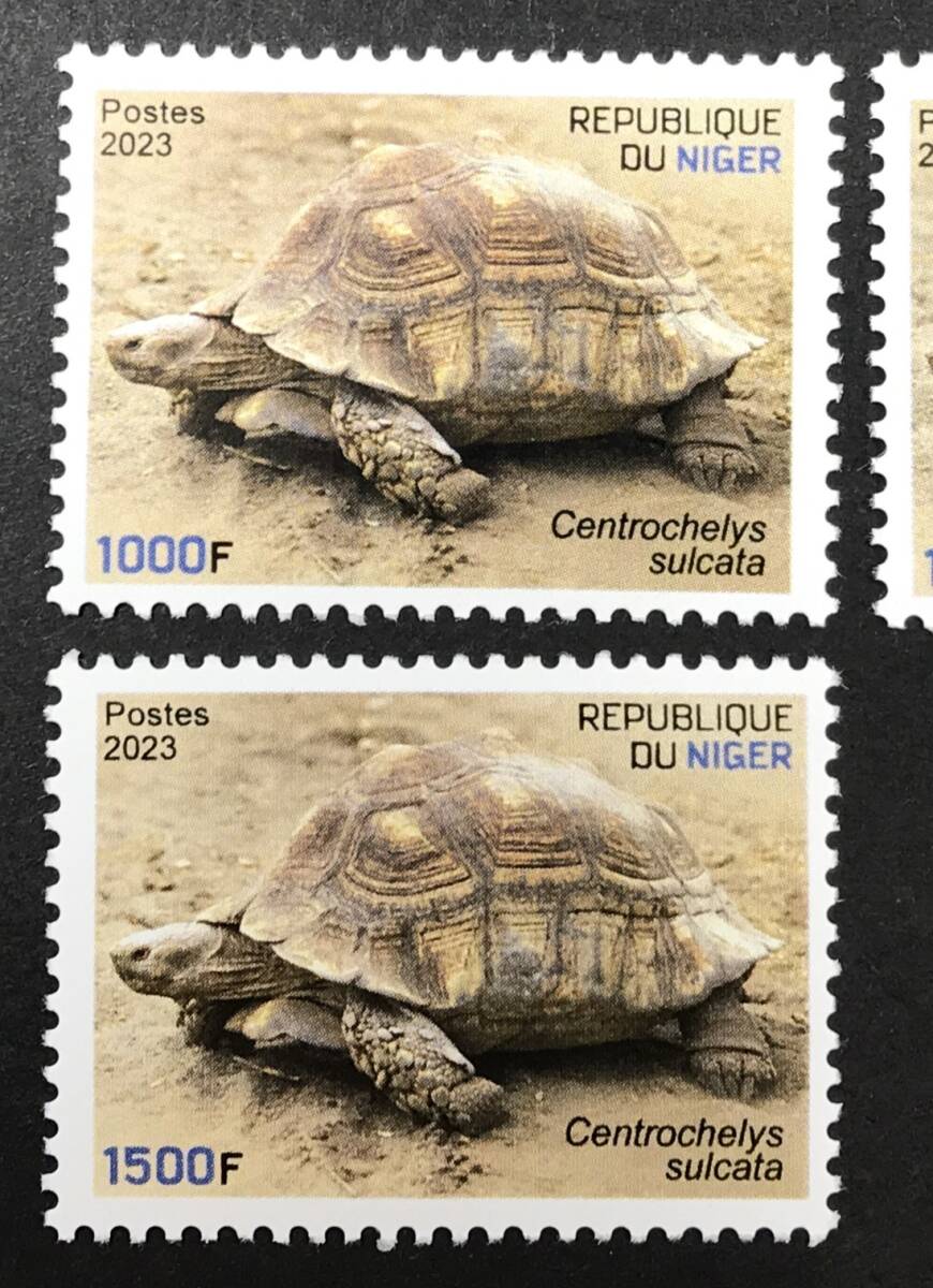 ニジェール 2023年発行 カメ 小型 切手 未使用 NHの画像2
