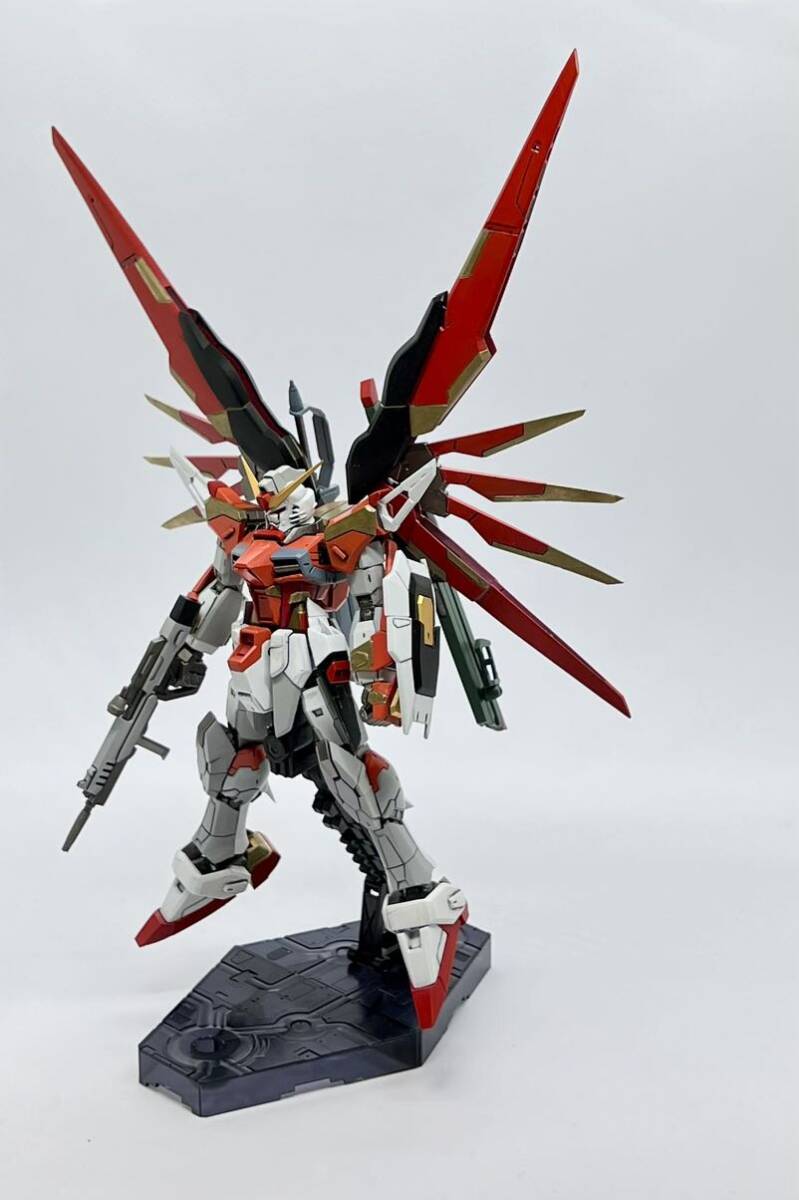 RG デスティニーガンダム ハイネ Ver. ガンプラEXPO限定 未組立品 デスティニー ハイネ専用機 レビュー ガンプラEXPO限定 RG