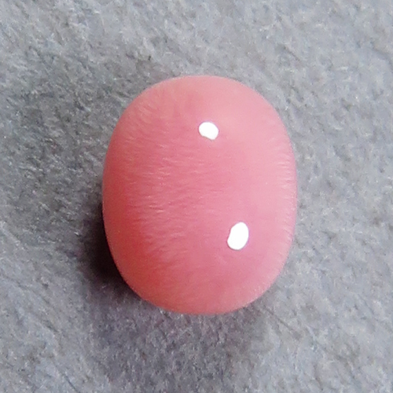 【2025年】エレガントファッションを上品に着 コンクパール(conch pearl) ルース(0.32ct) 真珠