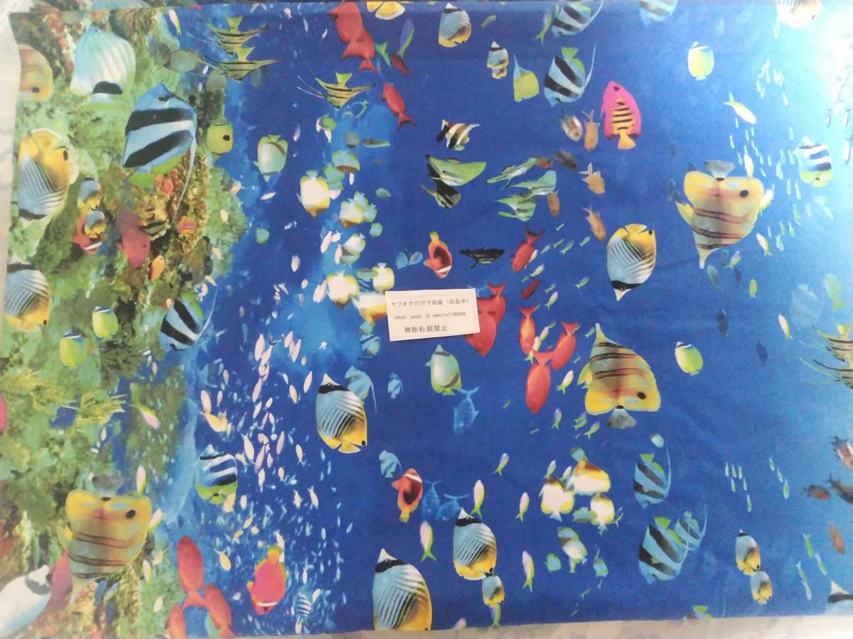 爆買い価格 格安価格 お得価格 ヤフオクだけで出品 ブロード生地 熱帯魚柄 青色 巾約１１３cm×長さ約５０cm の画像3