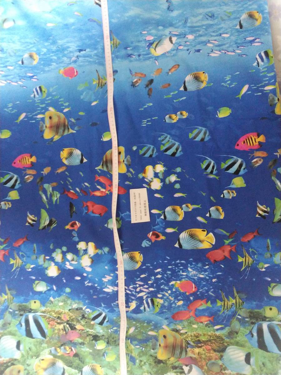 爆買い価格 格安価格 お得価格 ヤフオクだけで出品 ブロード生地 熱帯魚柄 青色 巾約１１３cm×長さ約５０cm の画像2