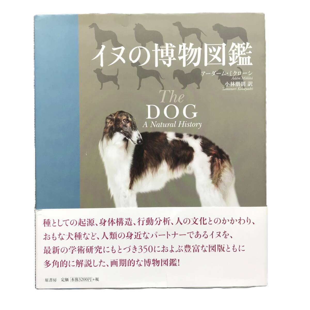 クーポン対象外】 231 イヌの博物図鑑 犬 - powertee.com