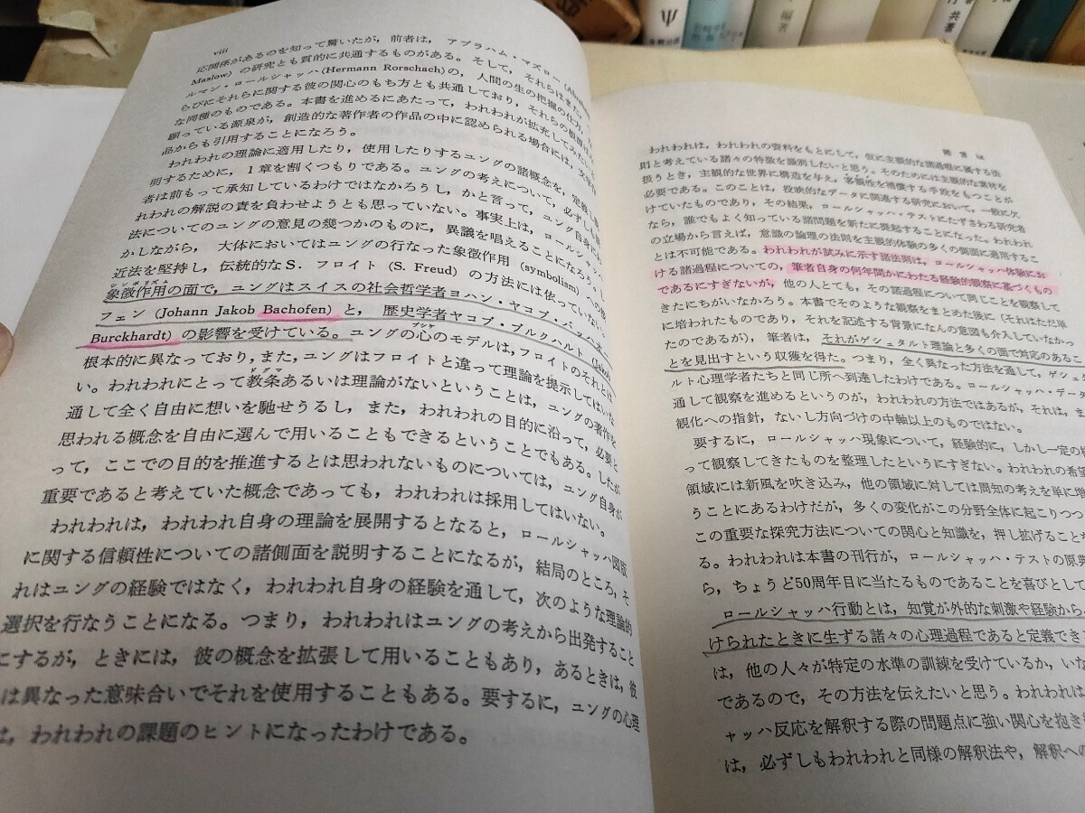 ロールシャッハテスト他まとめ 心理学 臨床 非行少年 _画像6