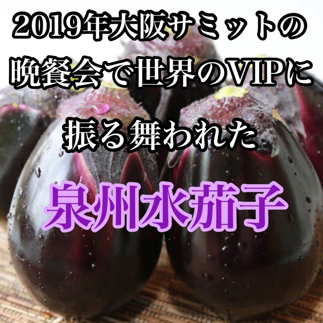 今が旬大阪特産　泉州水茄子　7個から12個入り　送料無料_画像1