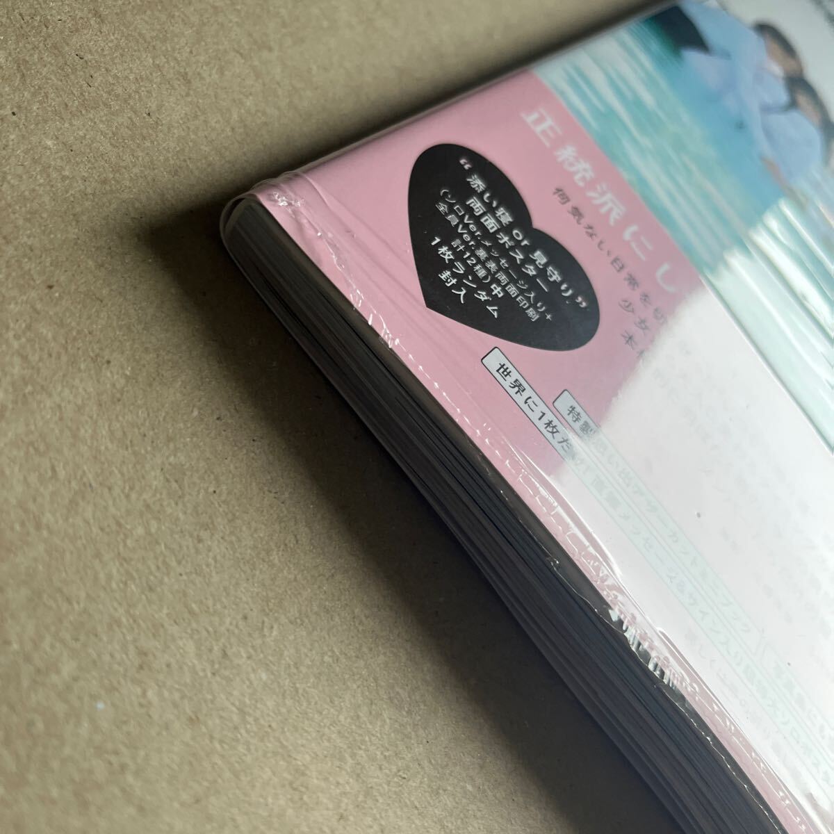 乃木坂46 5期生 写真集「あの頃、乃木坂にいた」 通常盤 封入ポスター、応募券なし 未読品_画像3