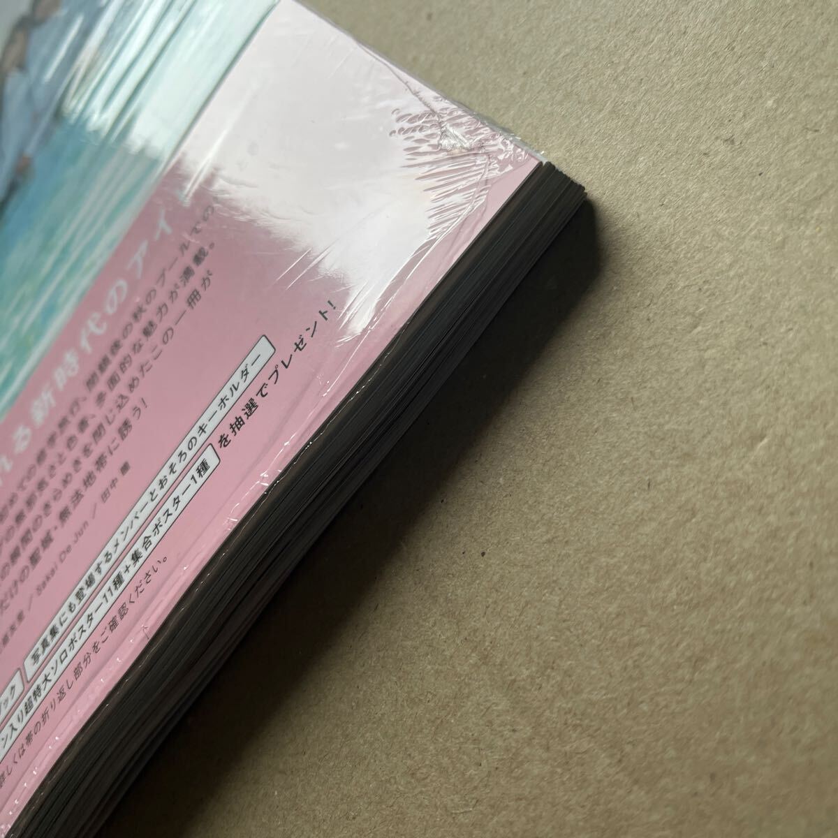 乃木坂46 5期生 写真集「あの頃、乃木坂にいた」 通常盤 封入ポスター、応募券なし 未読品_画像4