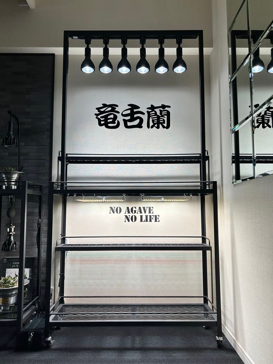 キャスター付植物棚 アイアン棚 パキプス アイアンシェルフ キャスター付植物棚 アイアン棚 パキプス アイアンシェルフ