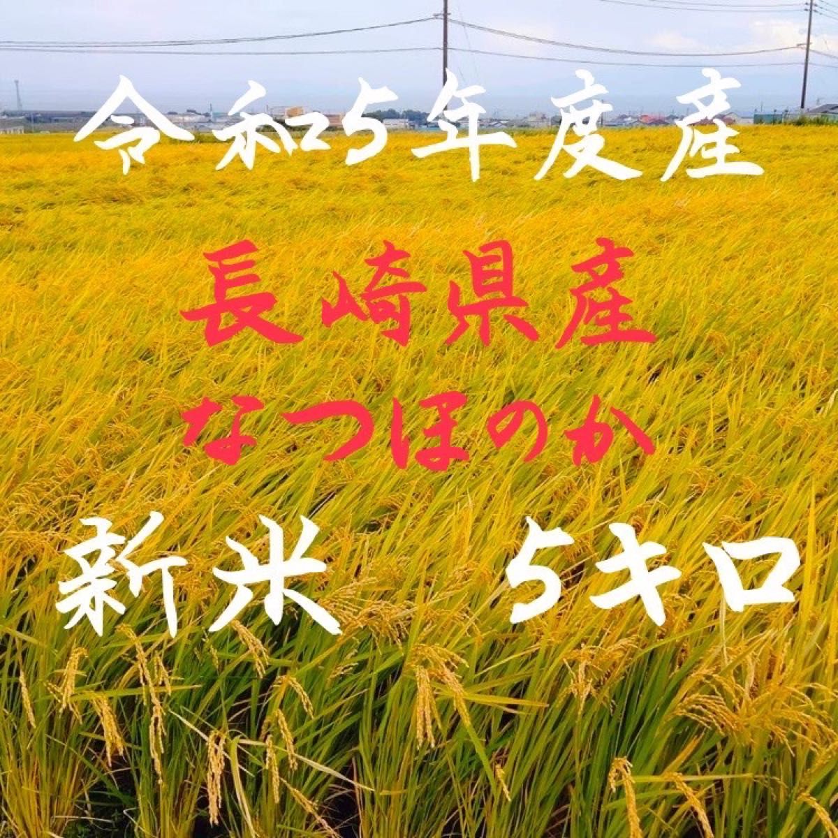 長崎県産 ナツホノカ 減農薬 5キロ 玄米 