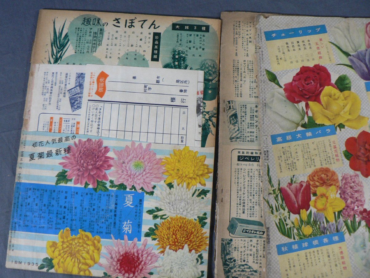 0E2B3 園芸新知識 1958年～1970年 不揃い39冊セット タキイ種苗の画像3