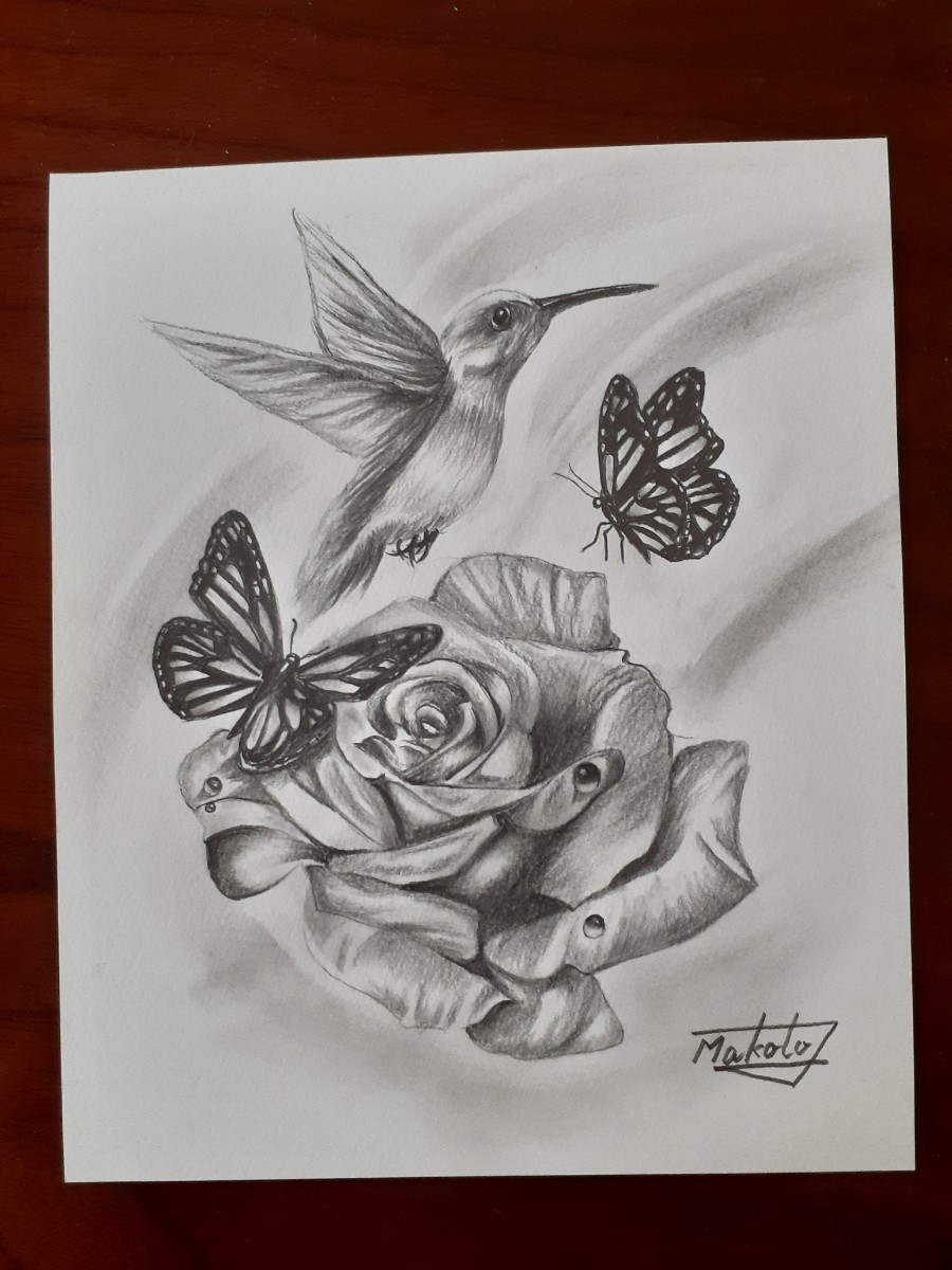  pencil sketch bee doli. rose. flower .chou