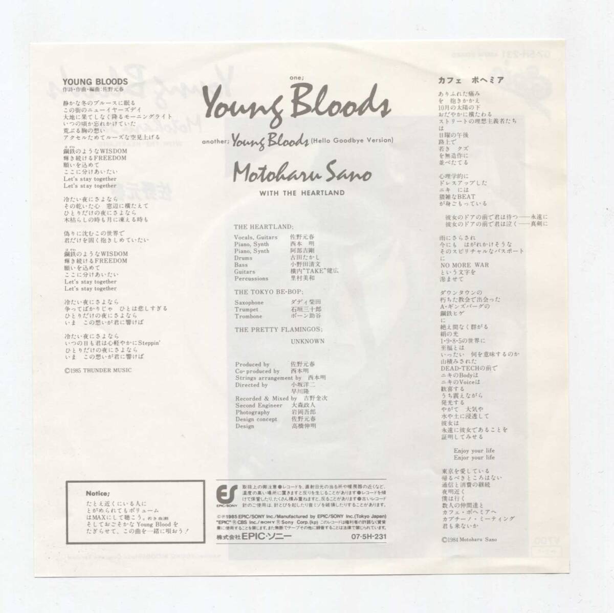 【EP レコード　シングル　同梱歓迎】　佐野元春　■ YOUNG BLOODS ■ HELLO GOODBYE VERSION ■ 07・5H-231 _画像2