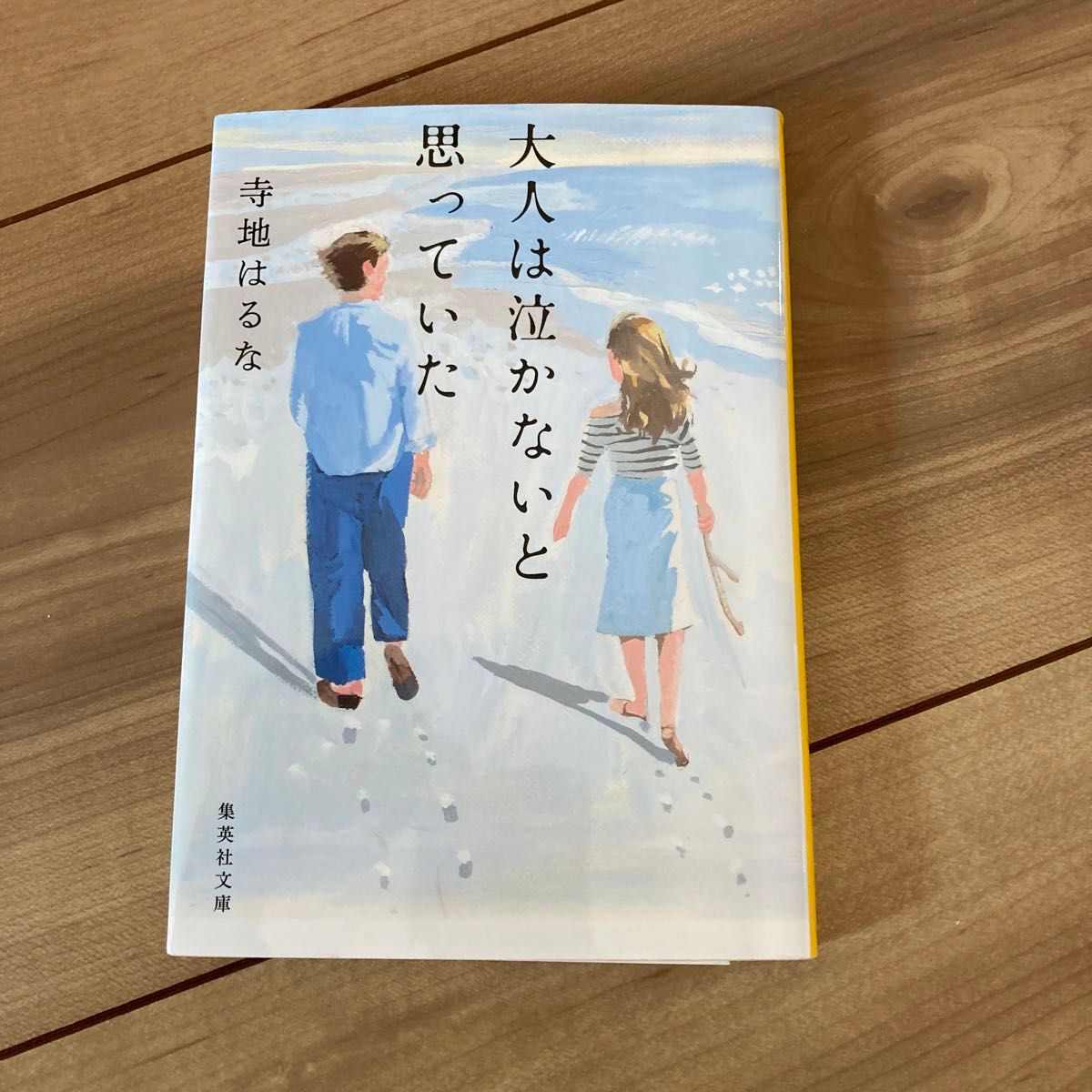 大人は泣かないと思っていた （集英社文庫　て６－１） 寺地はるな／著