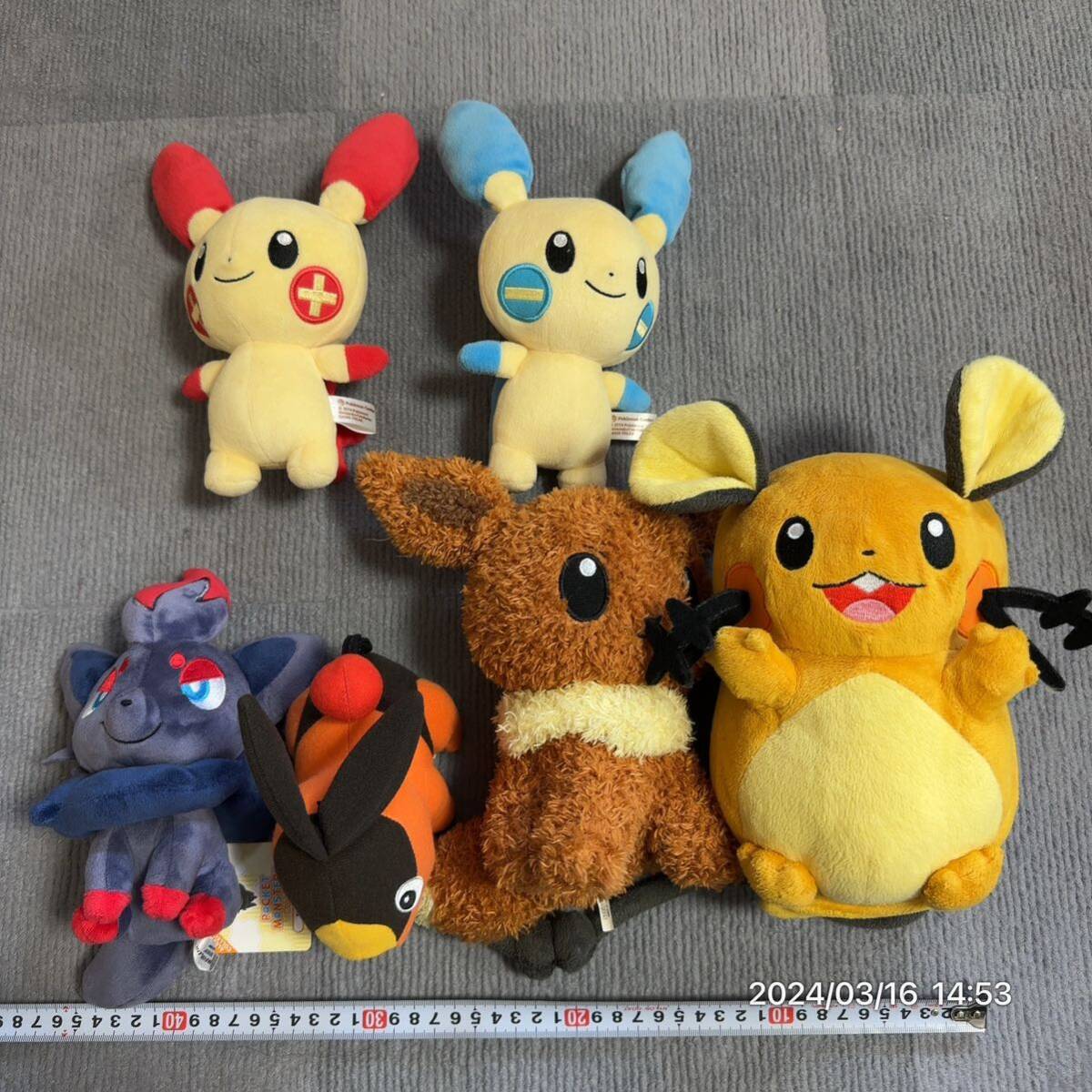 1000円〜 ポケットモンスター ポケモン ぬいぐるみ ポケモンセンター TOMY トミー etc プラスル マイナン デデンネ イーブイ などの画像1