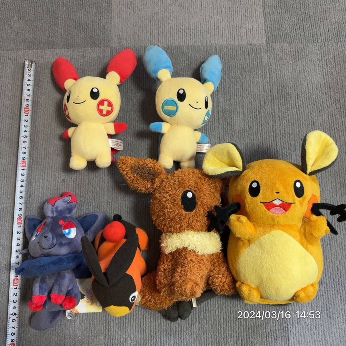 1000円〜 ポケットモンスター ポケモン ぬいぐるみ ポケモンセンター TOMY トミー etc プラスル マイナン デデンネ イーブイ などの画像2