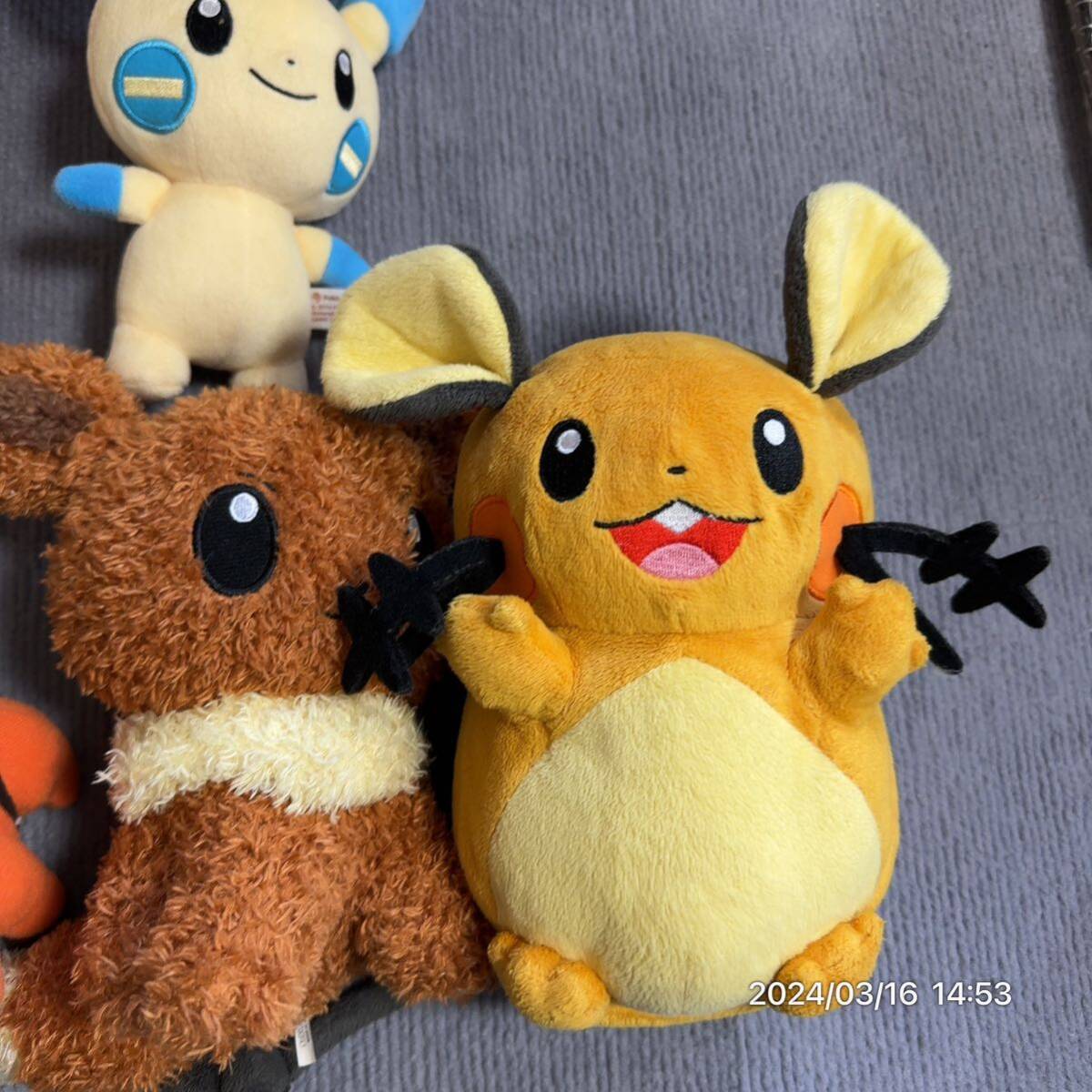 1000円〜 ポケットモンスター ポケモン ぬいぐるみ ポケモンセンター TOMY トミー etc プラスル マイナン デデンネ イーブイ などの画像5