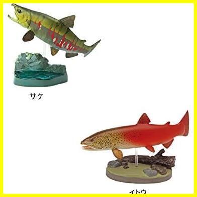 ★日本の淡水魚★ カロラータ 日本の淡水魚 フィギュア ( 立体図鑑 ) 魚 リアル フィギュアボックス [解説書/スタンド付き]_画像5