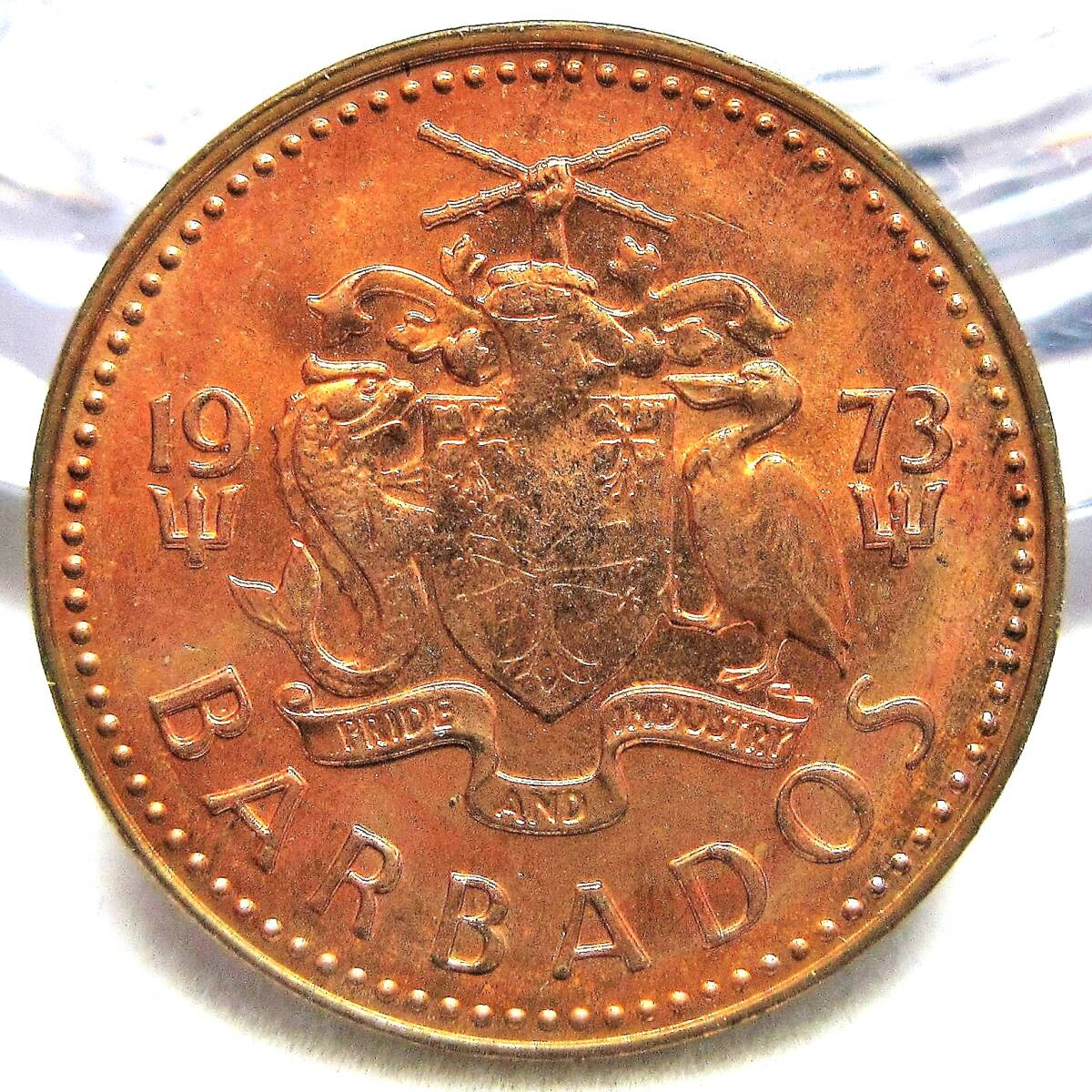 バルバドス 1セント 1973年 18.96mm 3.14g_画像2