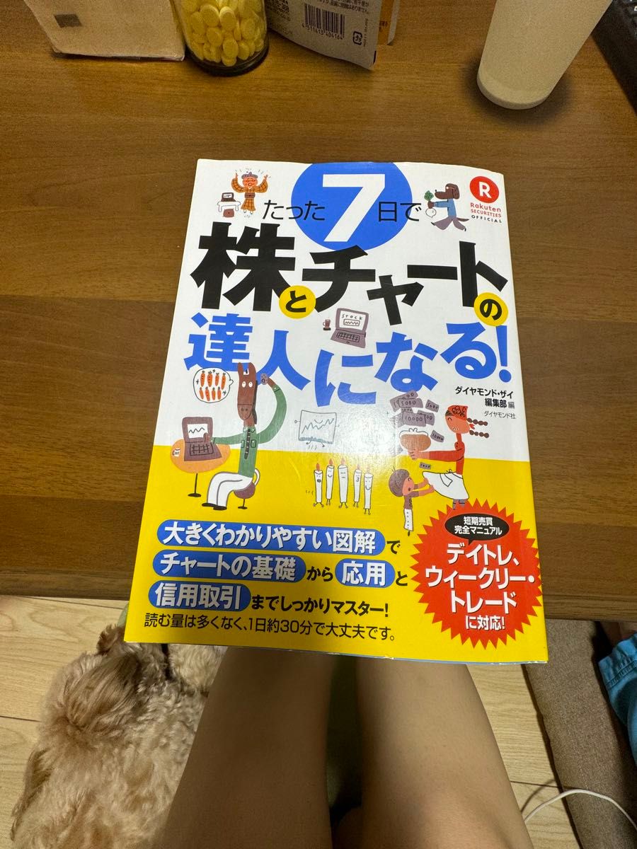 7日間で株とチャートの達人になる