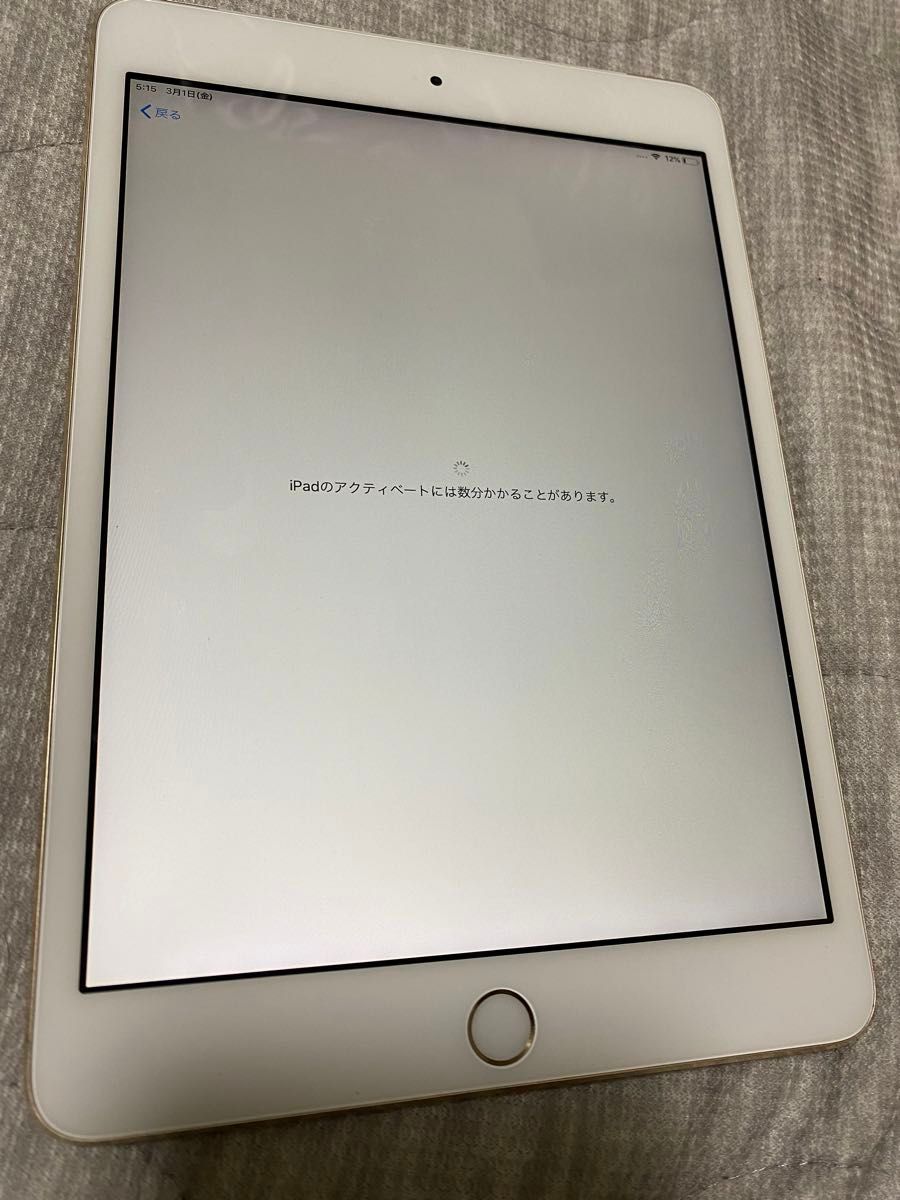 【値下げ中】美品 iPad mini3 ゴールド Wi-Fi Apple アップル シルバー mini