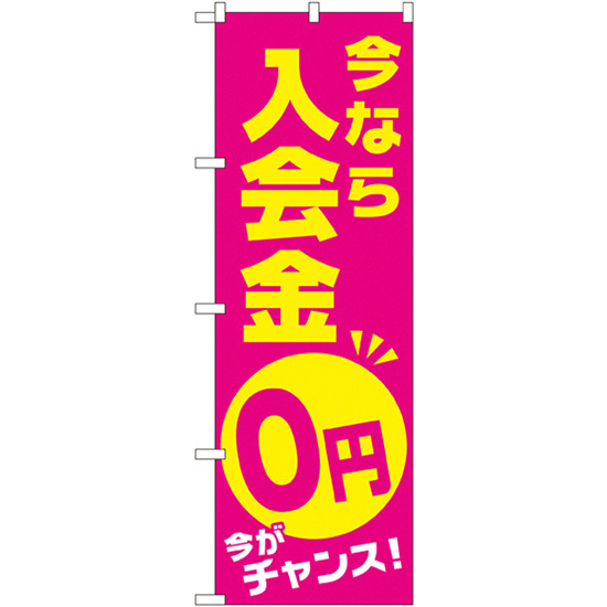 のぼり旗 2枚セット 今なら入会金0円 今がチャンス GNB-2129_画像1