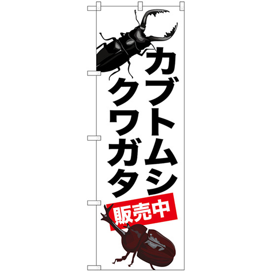 のぼり旗 カブトムシ クワガタ 販売中 GNB-3311_画像1