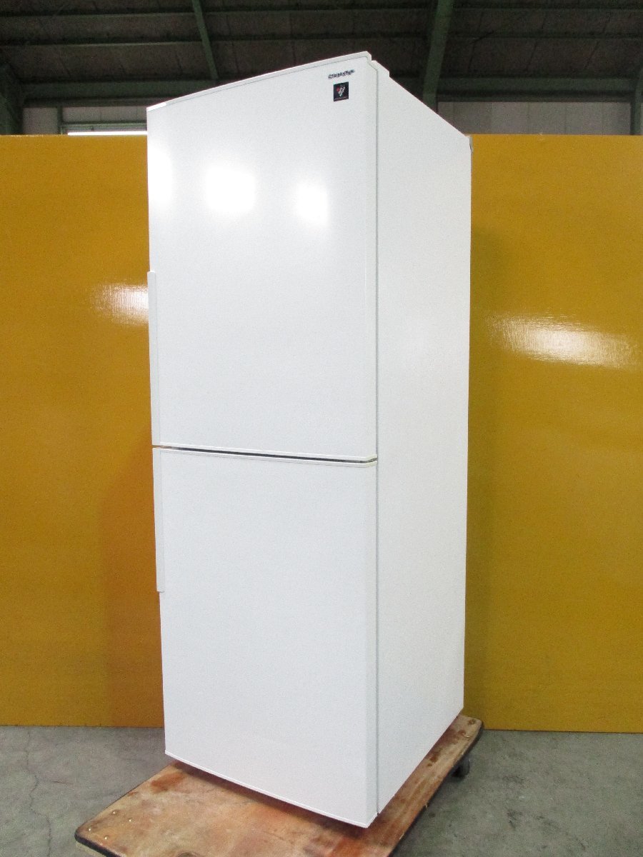 ◎SHARP シャープ 2ドアノンフロン冷凍冷蔵庫 280L プラズマクラスター SJ-PD28E-W 2019年製 ホワイト 直接引取OK w364_画像1