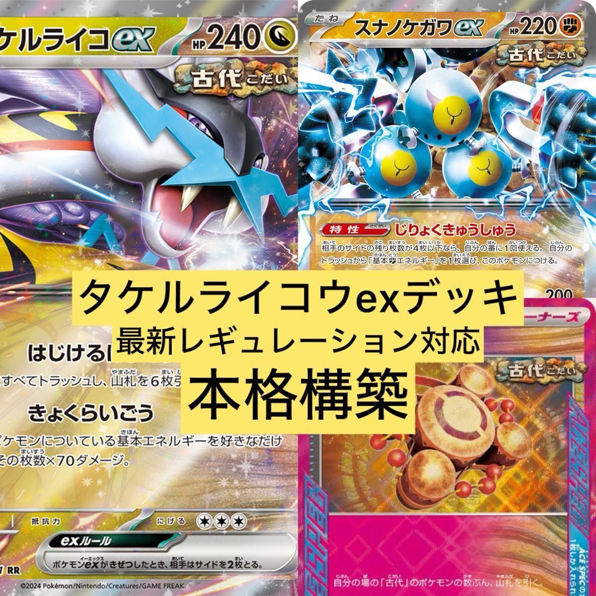 タケルライコウexデッキ 構築済みデッキ ポケモンカードゲーム タケルライコウexデッキ 構築済みデッキ ポケモンカードゲーム