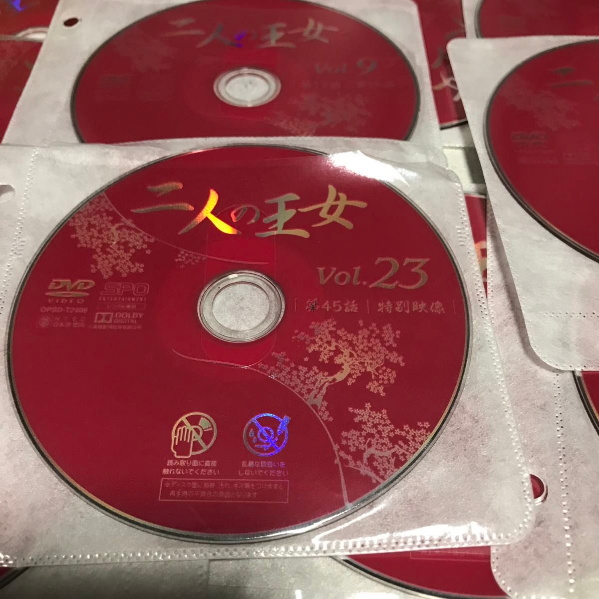 中国ドラマ　二人の王女　 全話　DVD