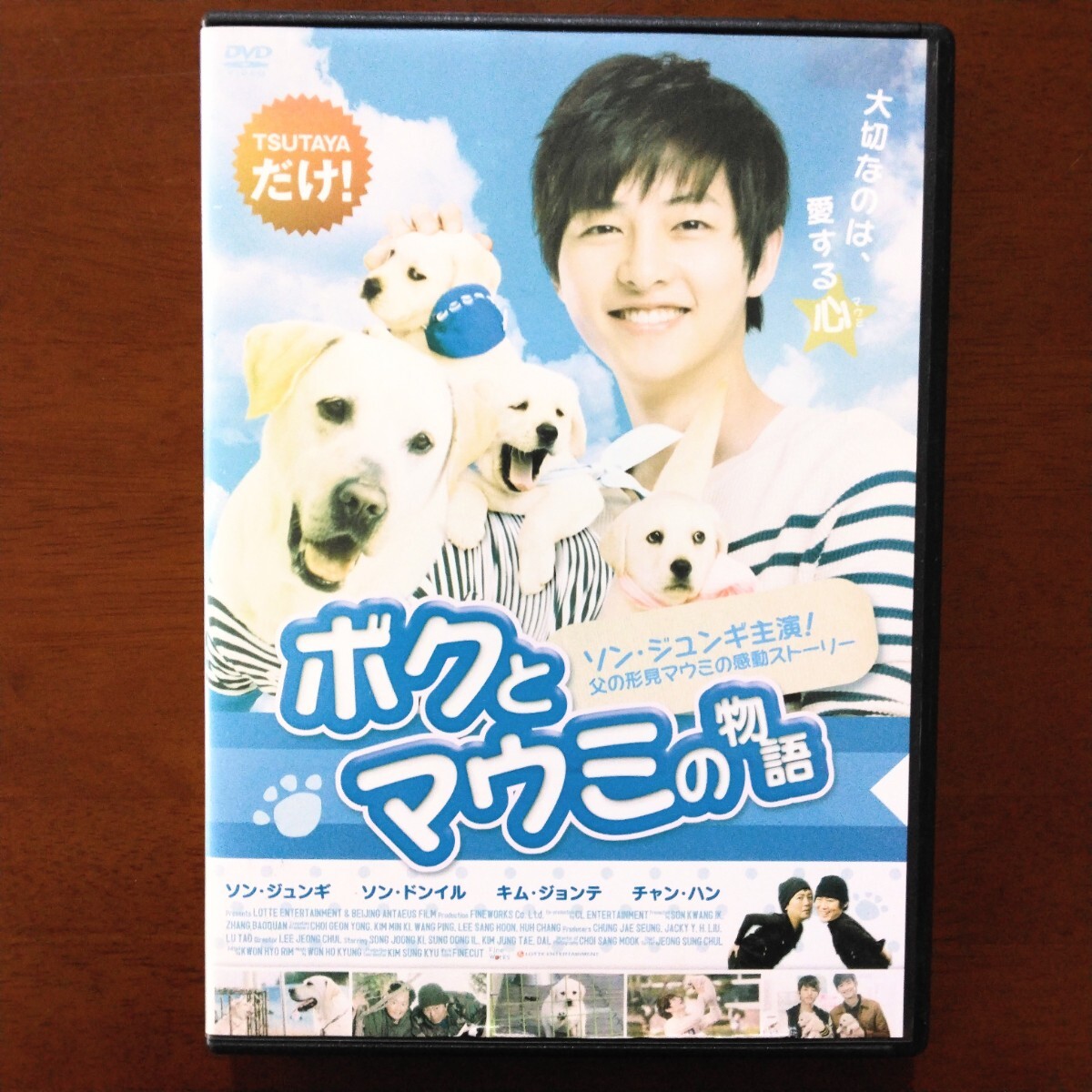 ボクとマウミの物語 DVD レンタル版 ソン・ジュンギ_画像1