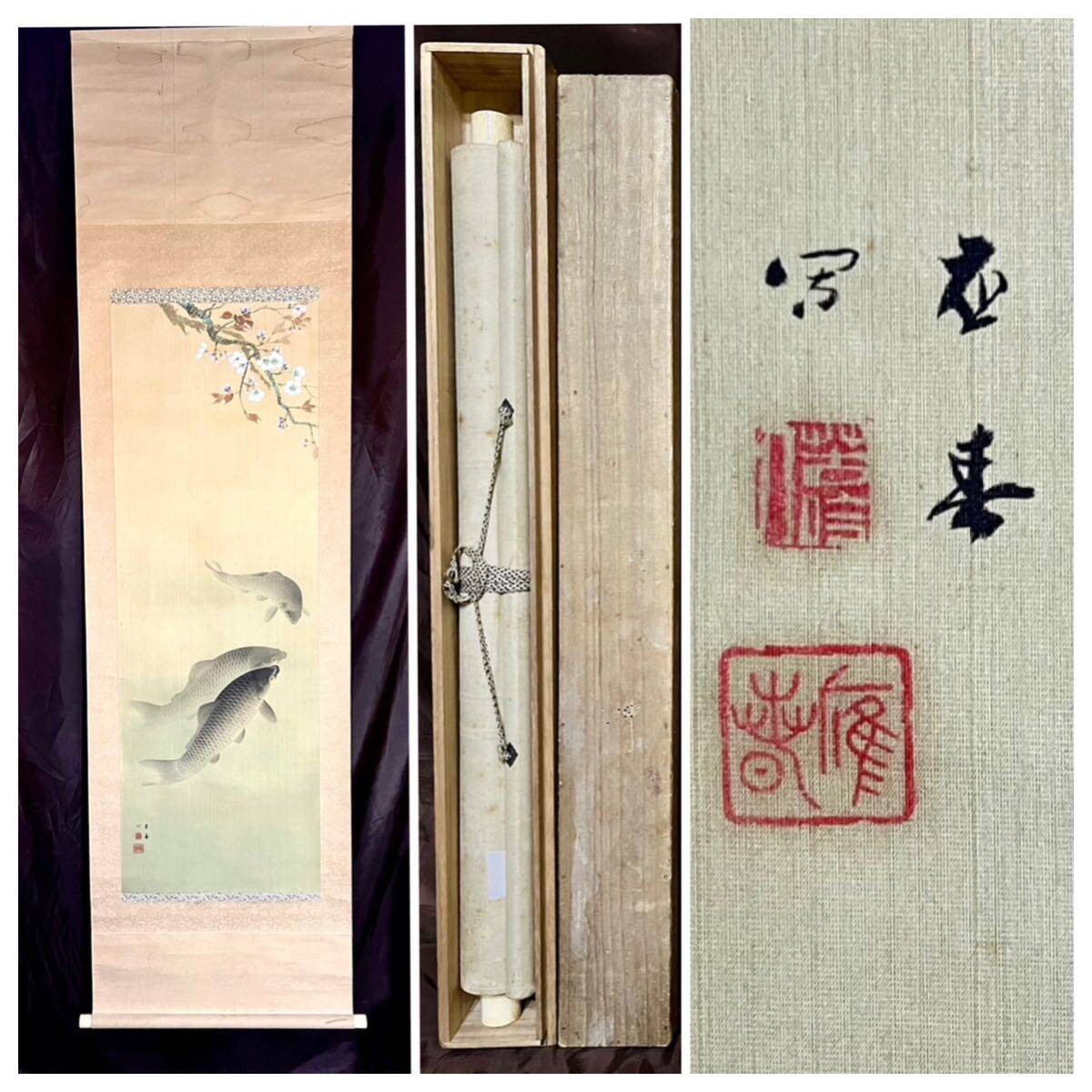 [ copy ] [S8] jpy mountain respondent spring . spring [ Sakura under common carp . map ] silk book@. box spring . flowers and birds map birds and wild animals fish map Sakura flower Sakura picture hanging scroll Edo era latter term. painter respondent .. . Kyoto. person 