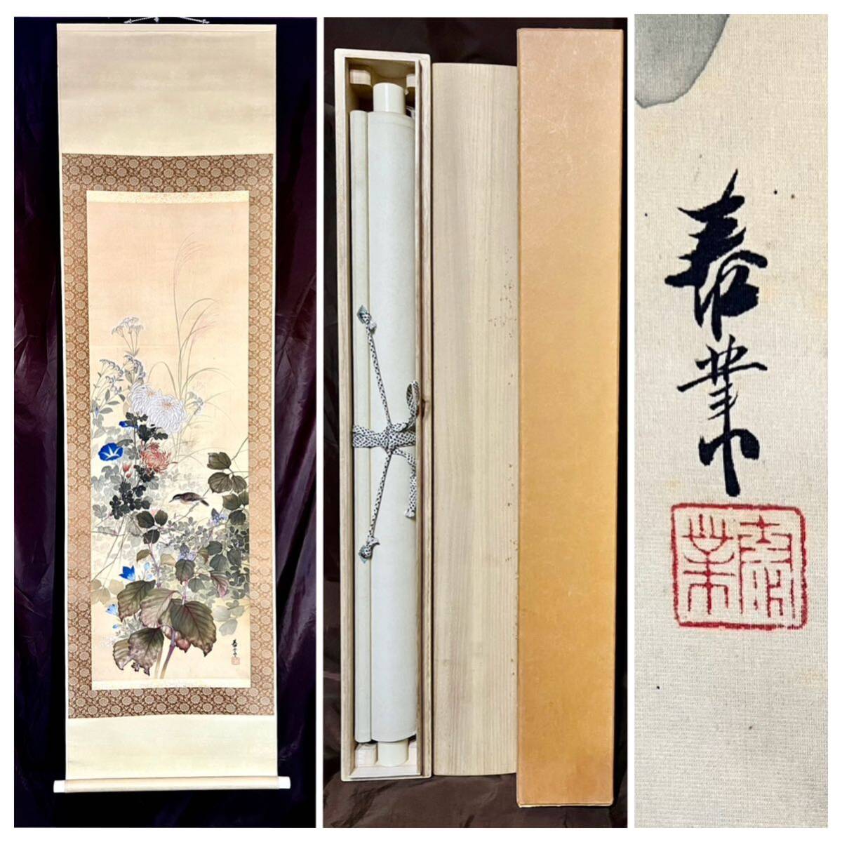 [ genuine work ] [S8] Yamamoto . industry [ autumn . flower small . map ] silk book@ autograph . box flowers and birds map birds and wild animals chrysanthemum morning face .. Japanese picture picture hanging scroll Meiji - Showa era era. Japanese picture house Miyazaki. person 