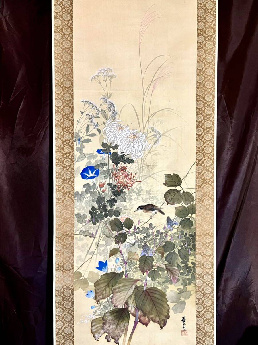 [ genuine work ] [S8] Yamamoto . industry [ autumn . flower small . map ] silk book@ autograph . box flowers and birds map birds and wild animals chrysanthemum morning face .. Japanese picture picture hanging scroll Meiji - Showa era era. Japanese picture house Miyazaki. person 