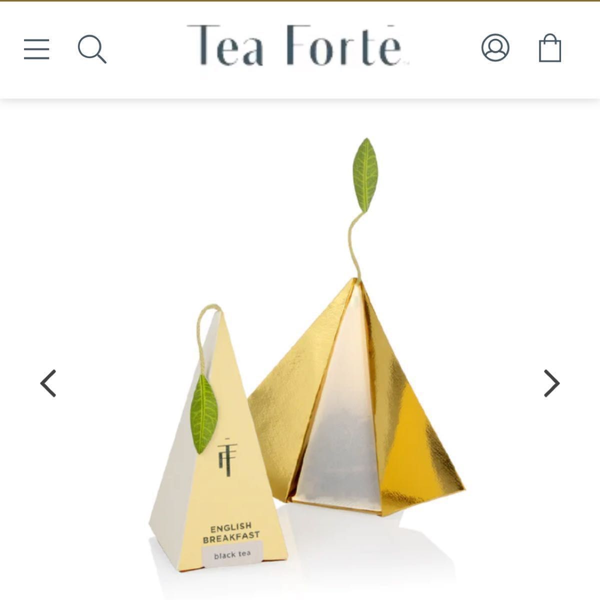 Tea Forte ティーフォルテ　ティーバッグ　10個