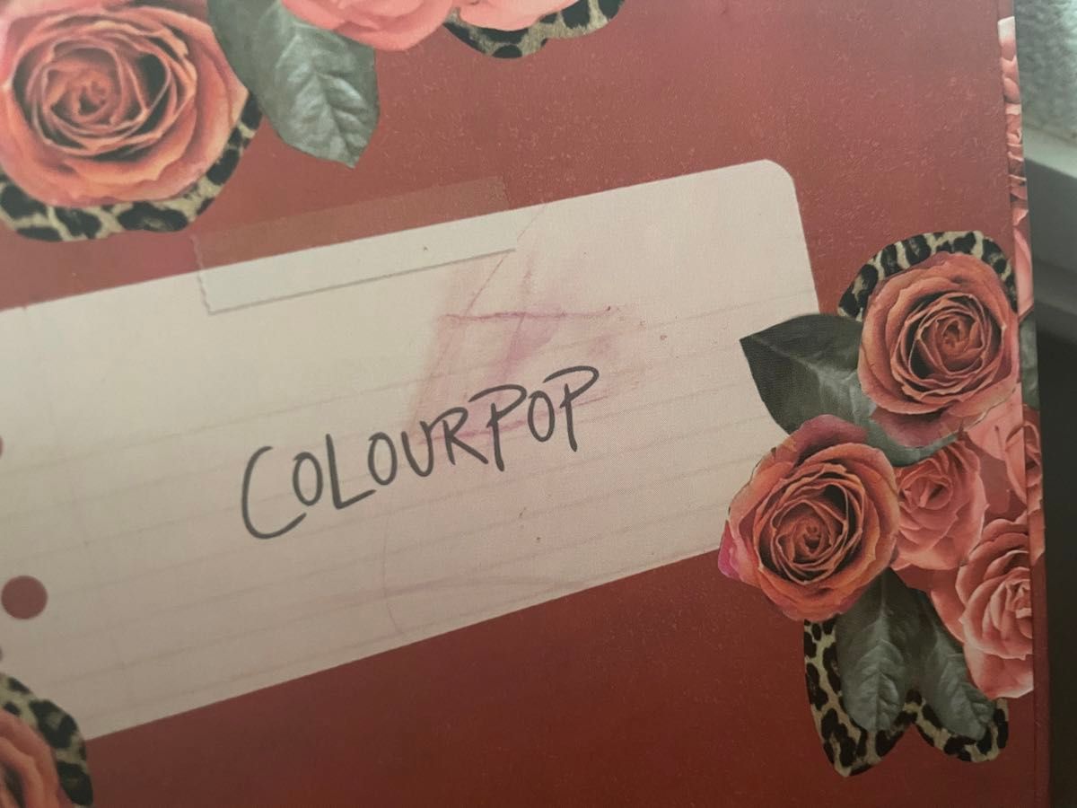 Colourpop カラーポップ　Whatever アイシャドウパレット パレット