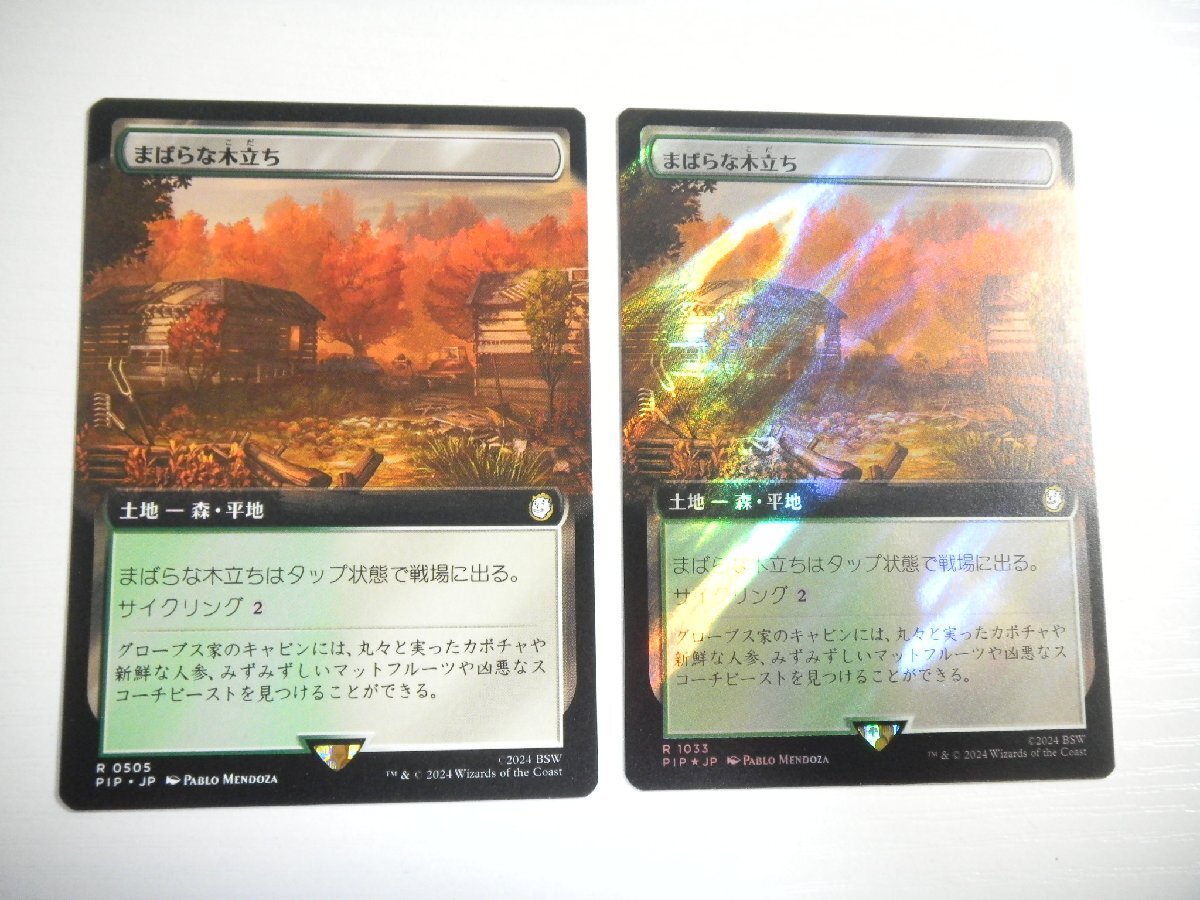 F467【MTG】まばらな木立ち 拡張アート サージFoil 非Foil 2枚セット Fallout_画像1