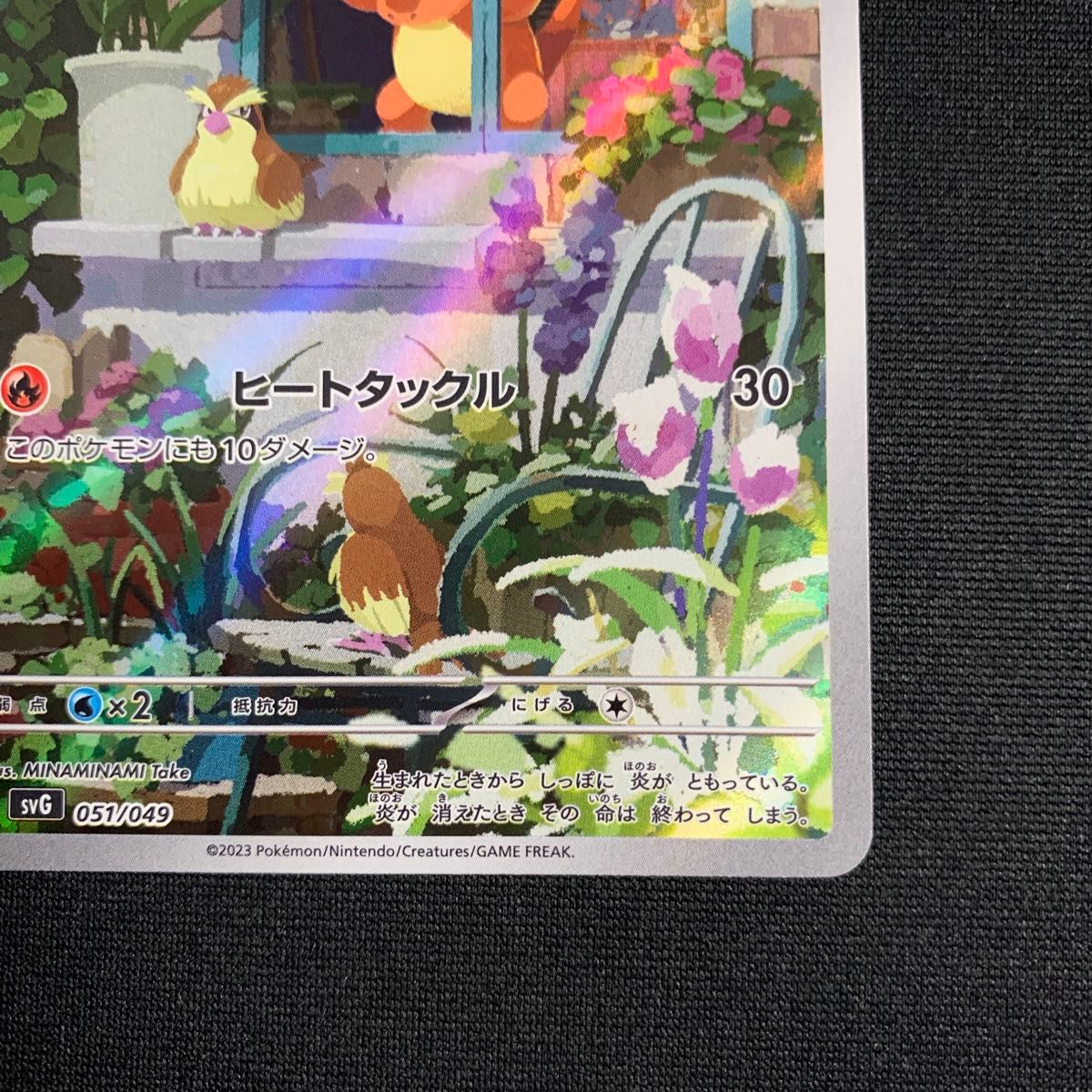 ヒトカゲ AR フルイラスト スペシャルデッキセットex ポケカ ヒトカゲ AR フルイラスト スペシャルデッキセットex ポケカ