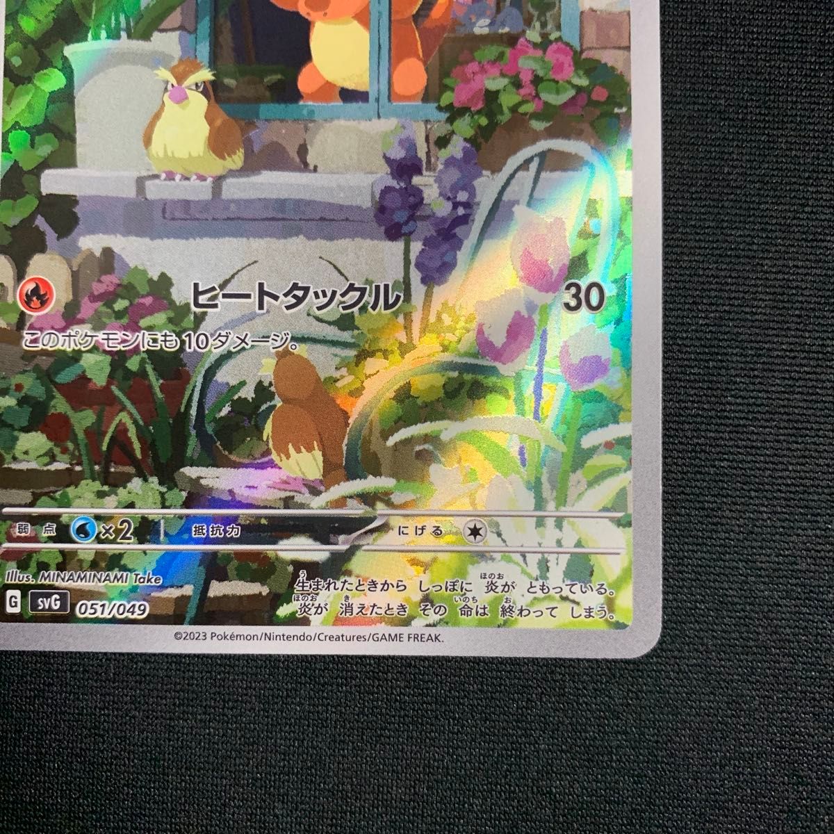 ヒトカゲ AR フルイラスト スペシャルデッキセットex ポケカ ヒトカゲ AR フルイラスト スペシャルデッキセットex ポケカ