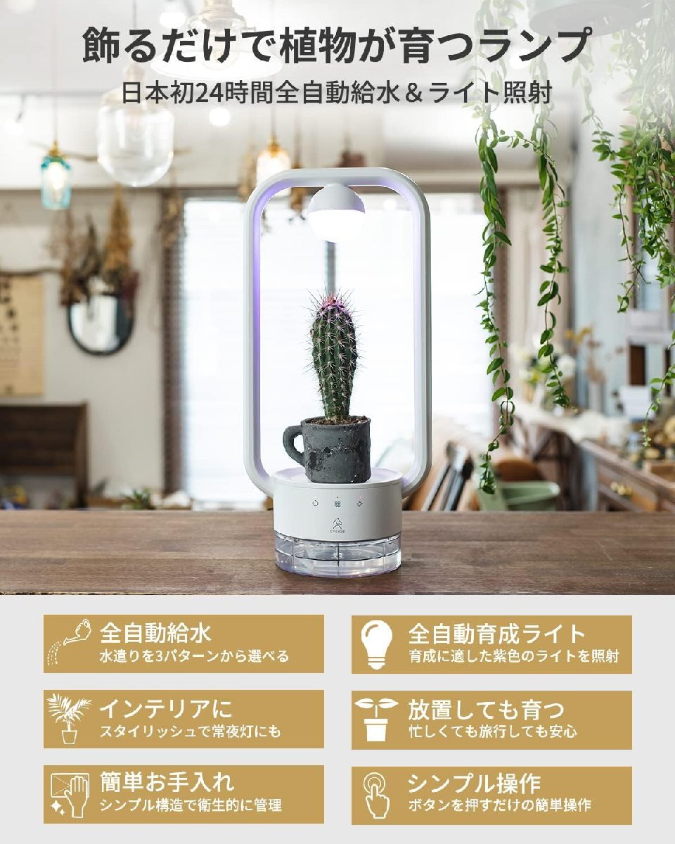 【アウトレット品】エペイオス 植物育成ライト LED 自動給水機能 インテリア 卓上ライト_画像3