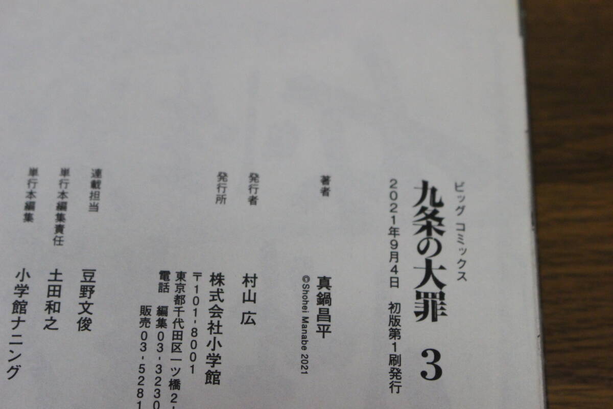 九条の大罪　1～3巻　真鍋昌平　ビッグコミックス　小学館　ひ191_画像7