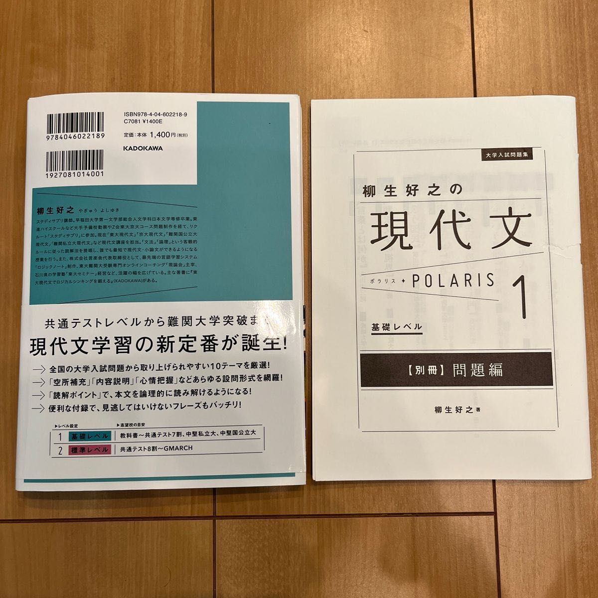 【未使用】大学入試問題集柳生好之の現代文ポラリス　１ （大学入試問題集） 柳生好之／著　現代文