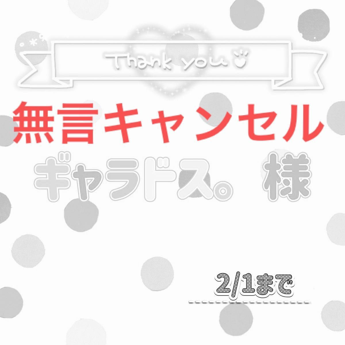 ギャラドス。様専用 無言キャンセル